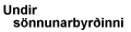 Undir sönnunarbyrðinni